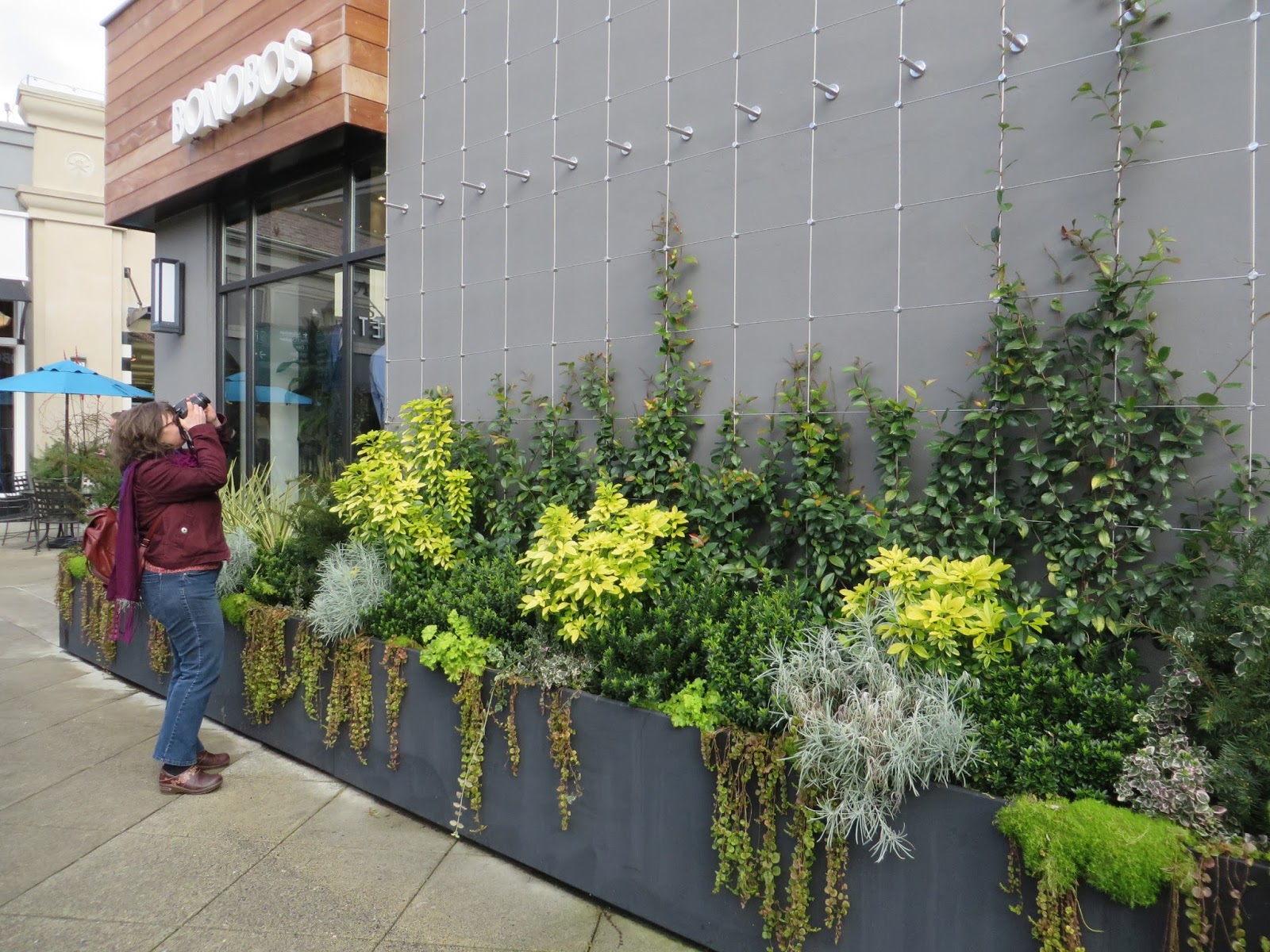 Seattle Visit Ravenna Gardens