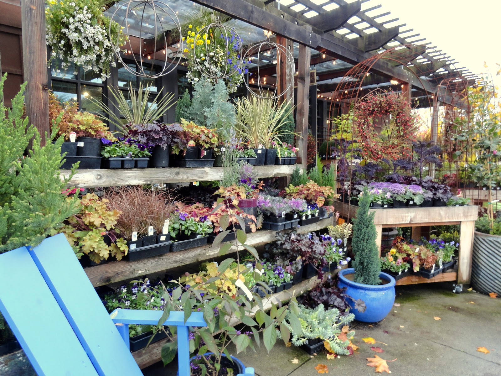 danger garden Love ‘em, or Hate ‘em?