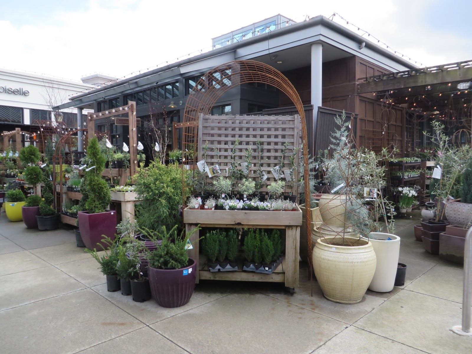 Seattle Visit Ravenna Gardens