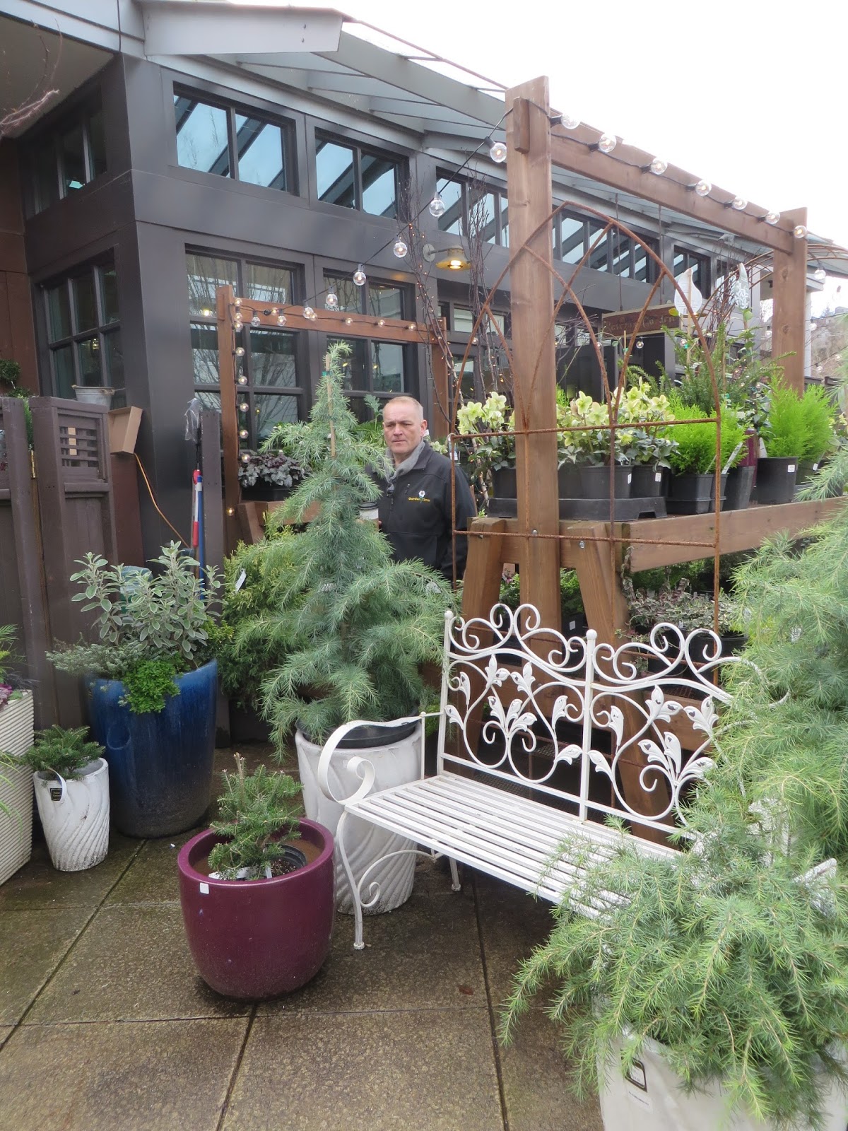 Seattle Visit Ravenna Gardens