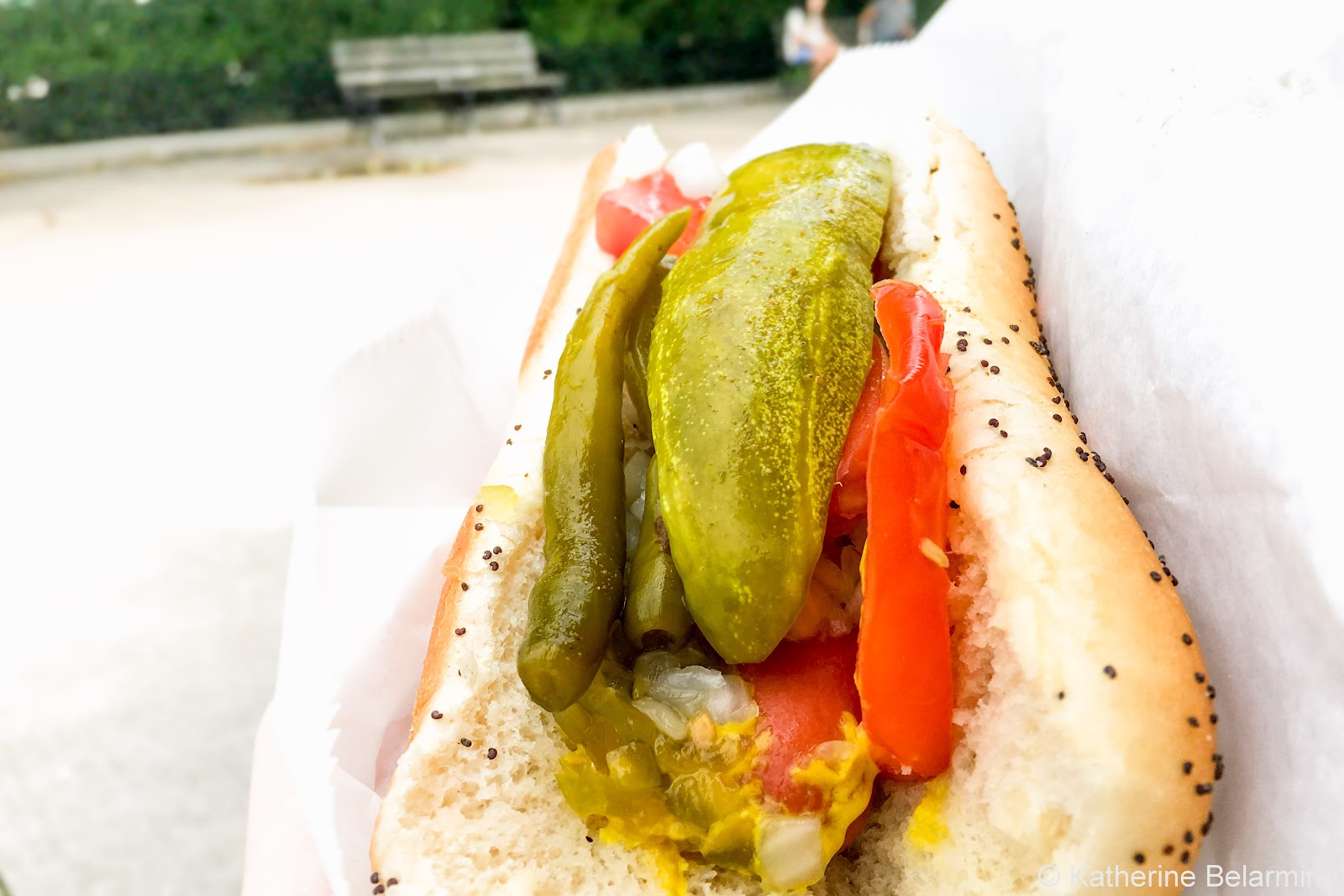 5 Iconic Chicago Foods You Must Try Travel the World